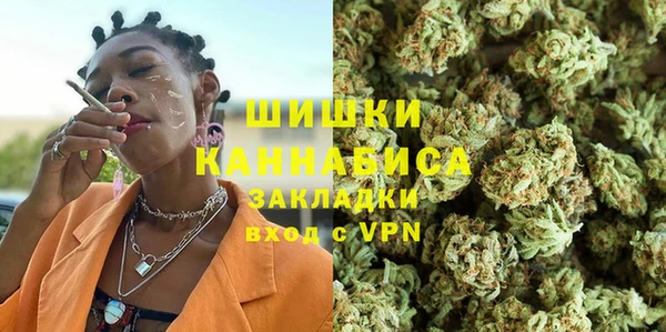 индика Богданович